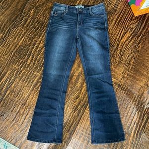 Wit and Wisdom baby bootcut jeans in petite length
